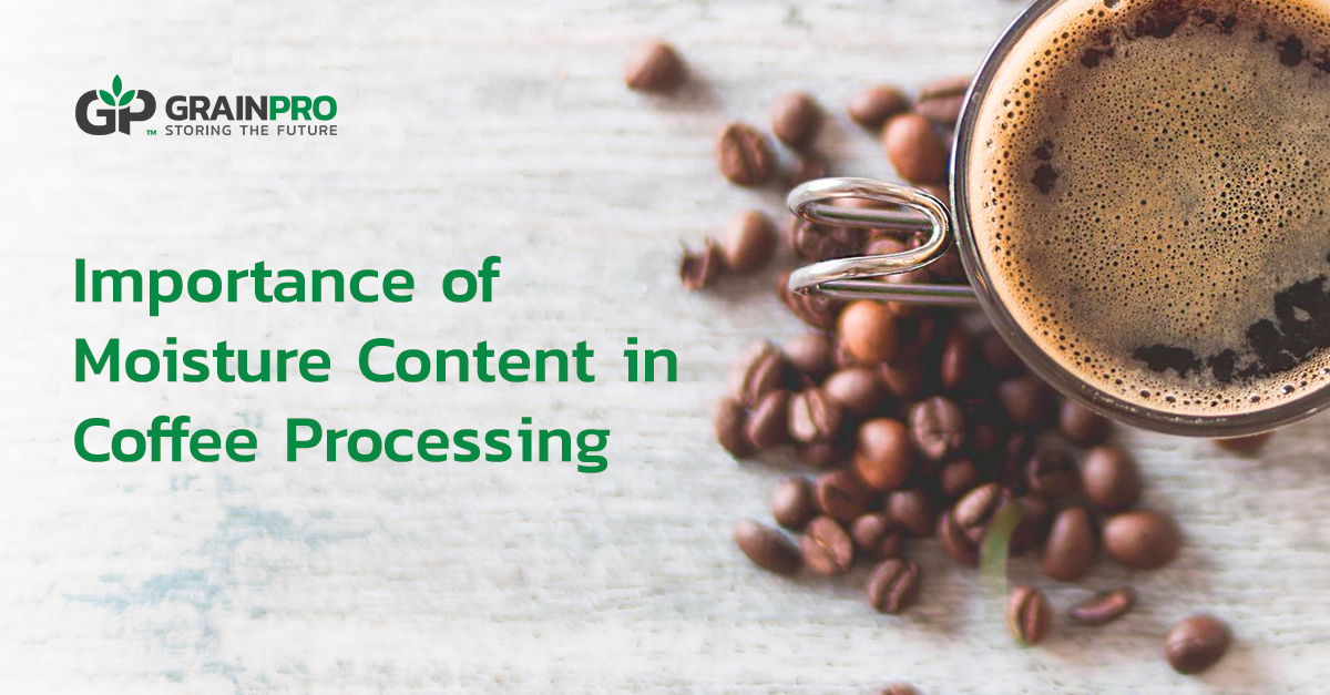 Importance of Moisture Content in Coffee Processing